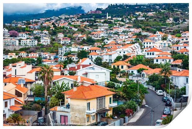 Buildings crowded together on the hills of Funchal in Madeira Print by Dave Collins