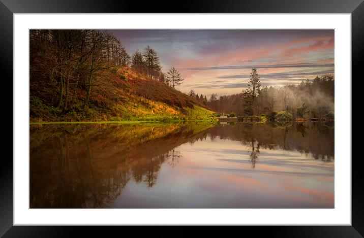 Penllergare Upper Lake Framed Mounted Print by Leighton Collins