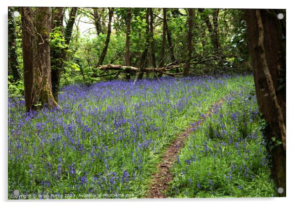 Path through a bluebell wood Acrylic by Brian Pierce