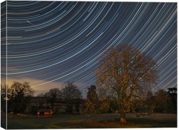 Stars and Meteor in night sky Canvas Print by mark humpage