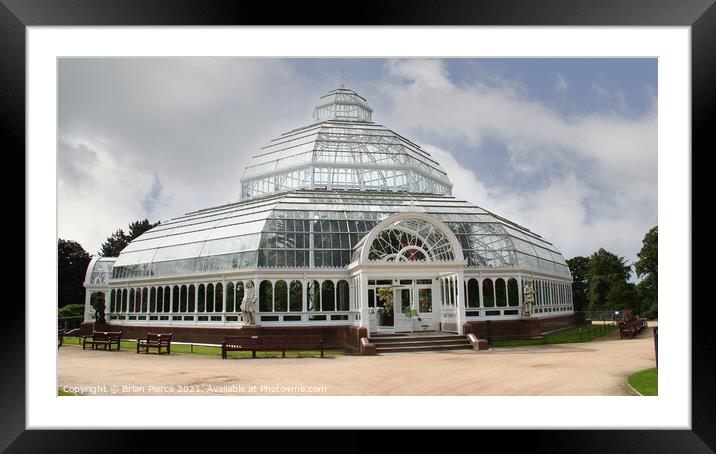 The Palm House, Sefton Park. Liverpool Framed Mounted Print by Brian Pierce