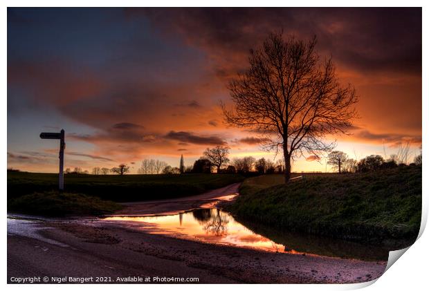 Farnham Sunset Print by Nigel Bangert