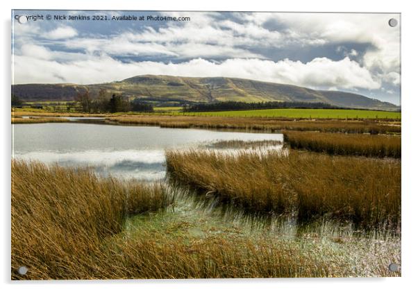 Across Mynydd Illtyd Pond to Fan Frynych  Acrylic by Nick Jenkins