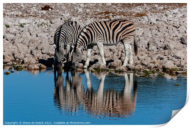 A pair Of Zebra Take A Cool Refreshing Drink Print by Steve de Roeck