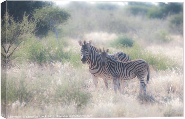 Mother and Baby Plains Zebra Canvas Print by Steve de Roeck