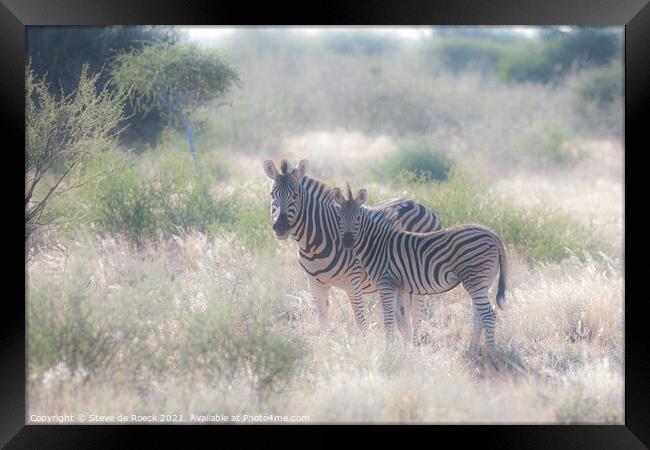 Mother and Baby Plains Zebra Framed Print by Steve de Roeck