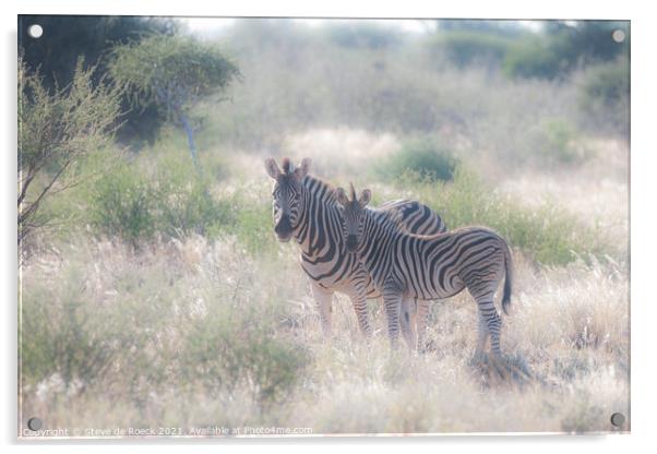 Mother and Baby Plains Zebra Acrylic by Steve de Roeck
