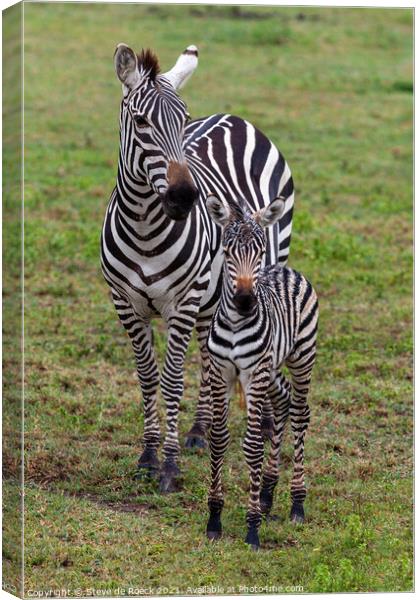 Mother and baby plains zebra Canvas Print by Steve de Roeck