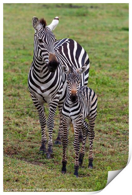 Mother and baby plains zebra Print by Steve de Roeck