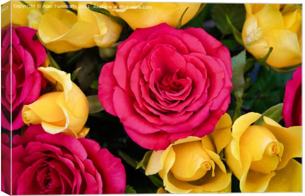 red and yellow roses Canvas Print by Alan Tunnicliffe