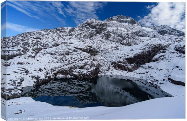 A lake in the snow mountains in Fiordland National Park, New Zealand Canvas Print by Chun Ju Wu