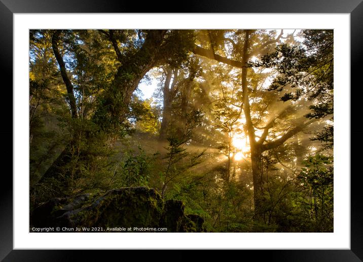 Light of sunrise through fog in the woods Framed Mounted Print by Chun Ju Wu
