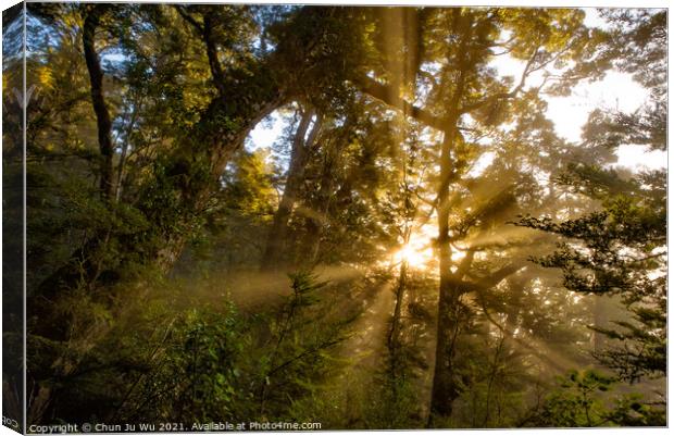 Light of sunrise through fog in the woods Canvas Print by Chun Ju Wu