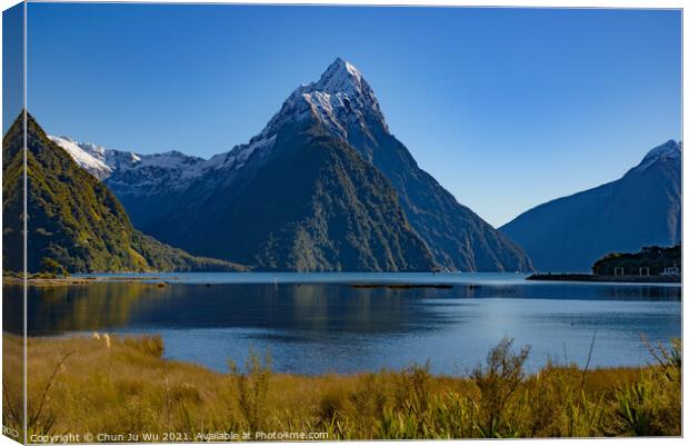 Milford Sound at Fiordland National Park in New Zealand Canvas Print by Chun Ju Wu