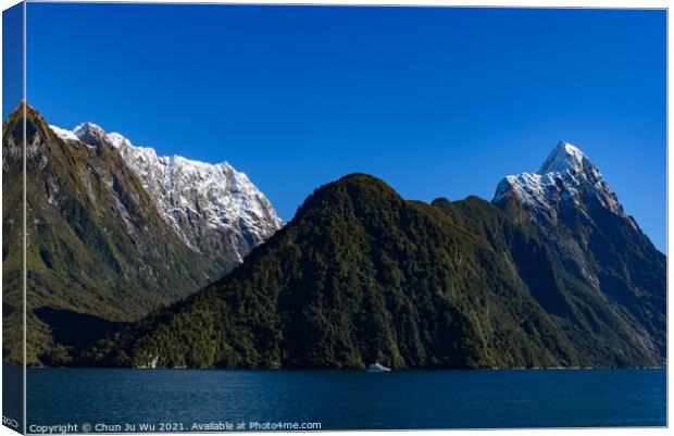 Milford Sound at Fiordland National Park in New Zealand Canvas Print by Chun Ju Wu