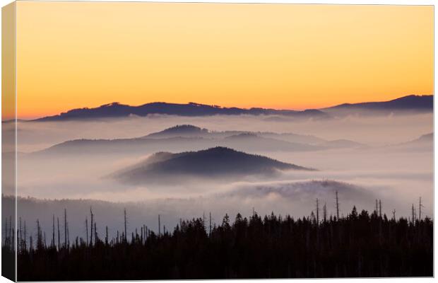 Bavarian Forest Covered in Mist, Germany Canvas Print by Arterra 