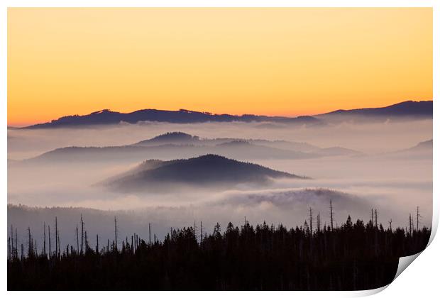 Bavarian Forest Covered in Mist, Germany Print by Arterra 