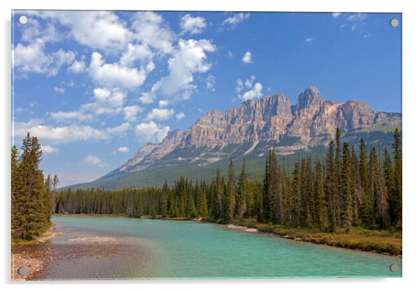 Castle Mountain and the Bow River in Banff National Park, Alberta Acrylic by Arterra 