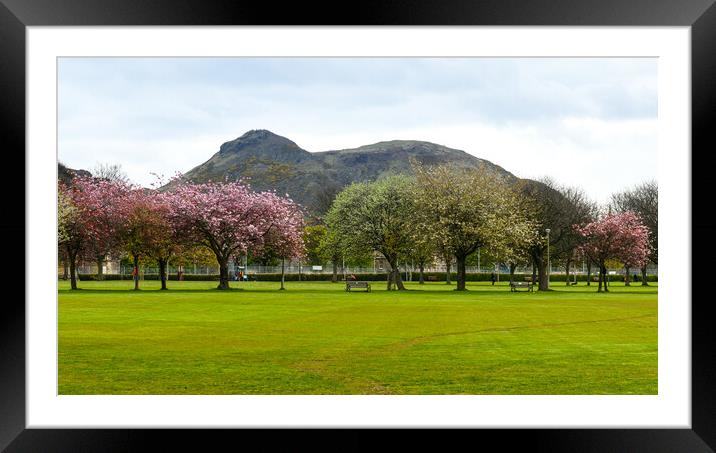 Spring in Meadows park, Edinburgh, with Arthur's seat view. Framed Mounted Print by Andrea Obzerova