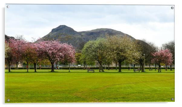 Spring in Meadows park, Edinburgh, with Arthur's seat view. Acrylic by Andrea Obzerova