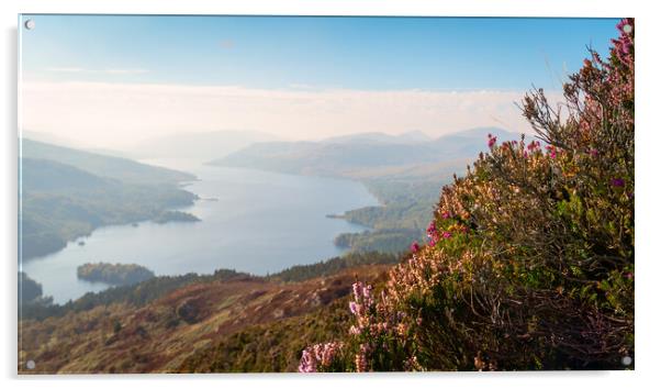 Stunning view of Loch Katrine from Ben A'an. Acrylic by Andrea Obzerova
