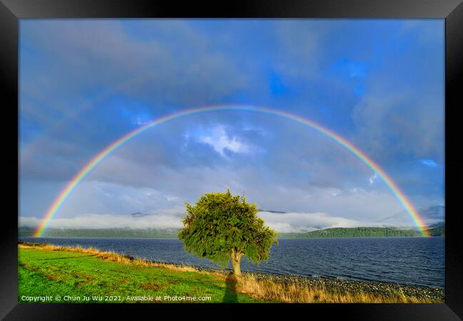 Double rainbow above a tree, Te Anau, New Zealand Framed Print by Chun Ju Wu
