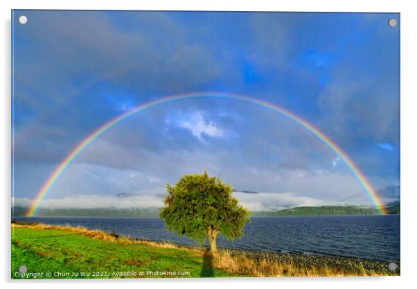 Double rainbow above a tree, Te Anau, New Zealand Acrylic by Chun Ju Wu