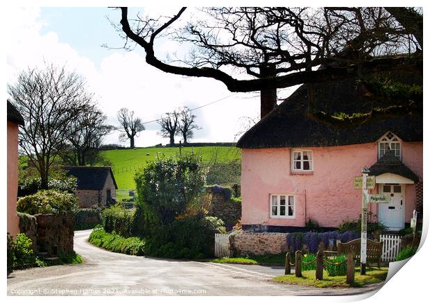 Pink Cottage Print by Stephen Hamer