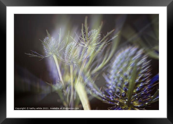 Sea Holly, enchanting blue flowers,Double exposure Framed Mounted Print by kathy white