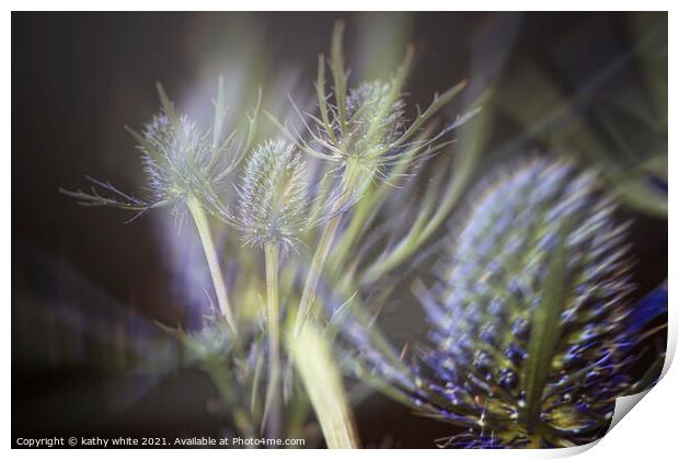 Sea Holly, enchanting blue flowers,Double exposure Print by kathy white