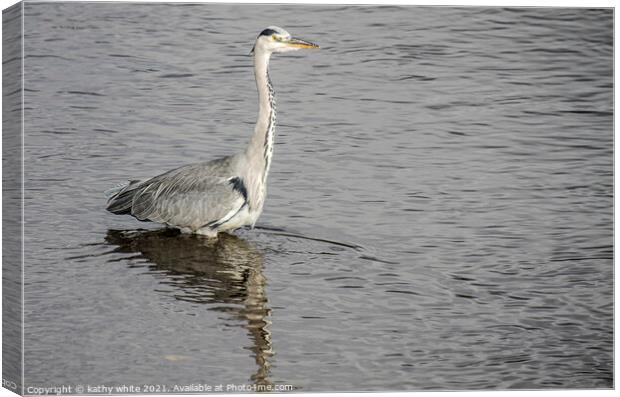 Heron fishing in the sea Canvas Print by kathy white