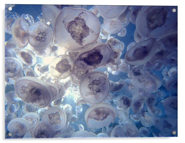 Jellyfish plume in sea Acrylic by mark humpage