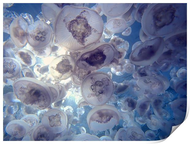 Jellyfish plume in sea Print by mark humpage