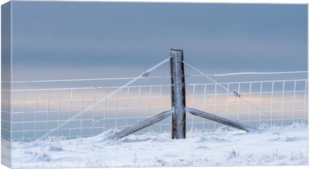 Rime ice on the Fence Canvas Print by George Robertson