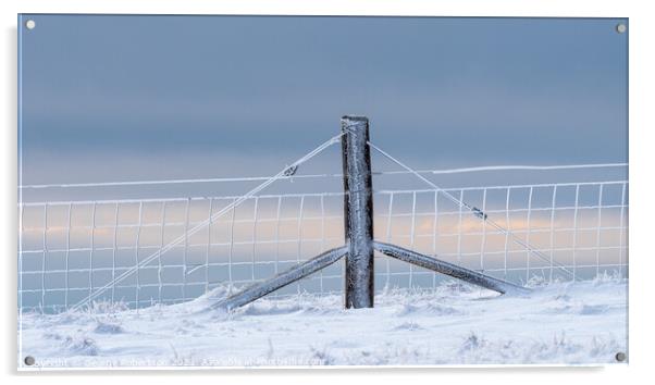 Rime ice on the Fence Acrylic by George Robertson