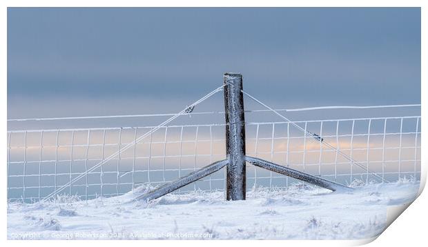 Rime ice on the Fence Print by George Robertson