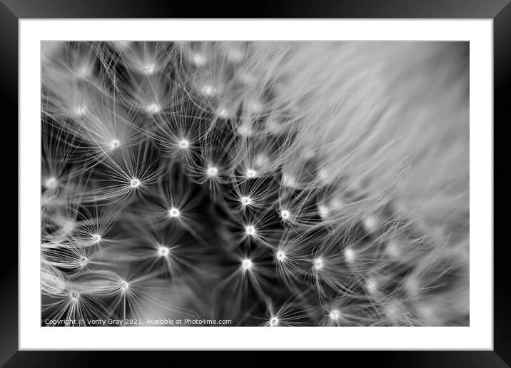 Nature's pattern Framed Mounted Print by Verity Gray