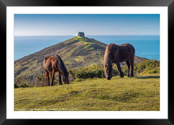 Horses at Rame Head Cornwall Framed Mounted Print by Jim Peters