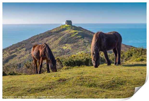 Horses at Rame Head Cornwall Print by Jim Peters