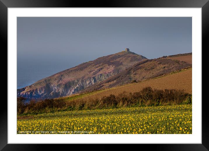 Daffodils on a spring morning at Rame Head Cornwall Framed Mounted Print by Jim Peters