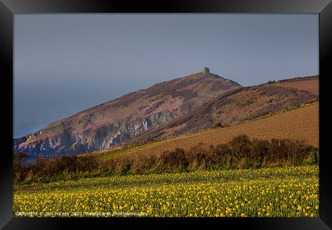 Daffodils on a spring morning at Rame Head Cornwall Framed Print by Jim Peters