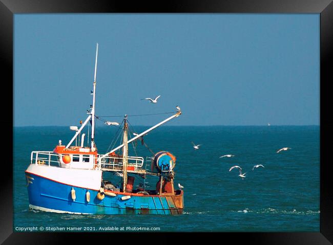 Gull's following Trawler Framed Print by Stephen Hamer