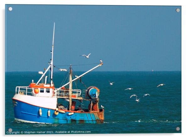 Gull's following Trawler Acrylic by Stephen Hamer