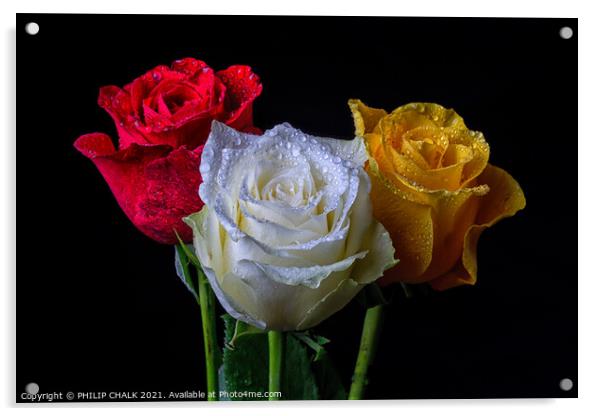 Three roses with water droplets 410 Acrylic by PHILIP CHALK