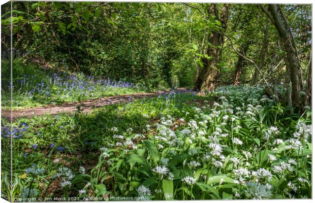 Wild Garlic and Bluebells Canvas Print by Jim Monk