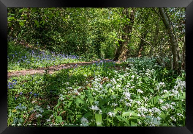 Wild Garlic and Bluebells Framed Print by Jim Monk