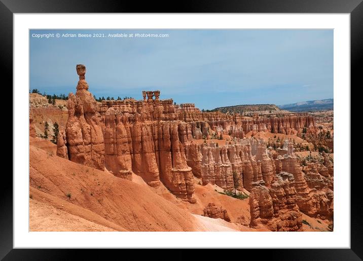 Crimson Hoodoos Bryce Canyon National Park Framed Mounted Print by Adrian Beese