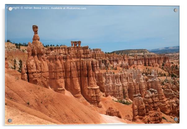 Crimson Hoodoos Bryce Canyon National Park Acrylic by Adrian Beese
