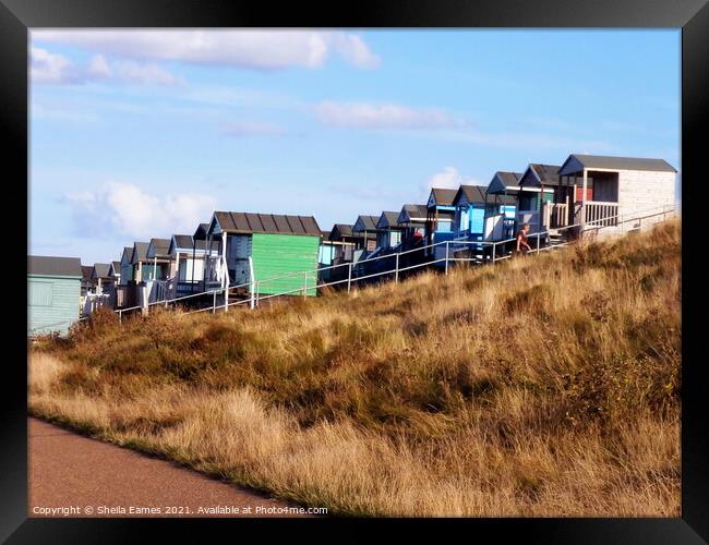 Beach Huts at Tankerton,, Kent, UK Framed Print by Sheila Eames