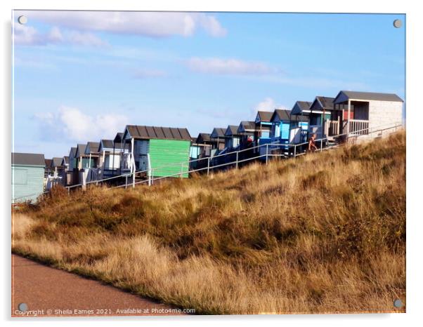 Beach Huts at Tankerton,, Kent, UK Acrylic by Sheila Eames